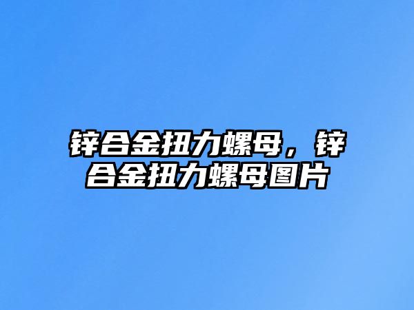 鋅合金扭力螺母，鋅合金扭力螺母圖片