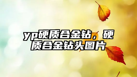 yp硬質(zhì)合金鉆，硬質(zhì)合金鉆頭圖片