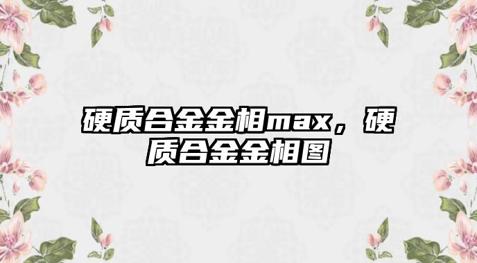 硬質(zhì)合金金相max，硬質(zhì)合金金相圖