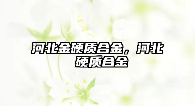 河北金硬質合金，河北 硬質合金