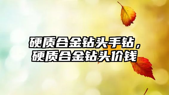 硬質(zhì)合金鉆頭手鉆，硬質(zhì)合金鉆頭價錢