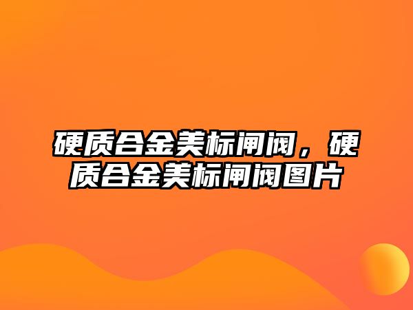 硬質(zhì)合金美標閘閥，硬質(zhì)合金美標閘閥圖片