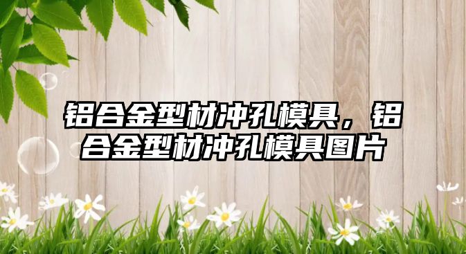 鋁合金型材沖孔模具，鋁合金型材沖孔模具圖片