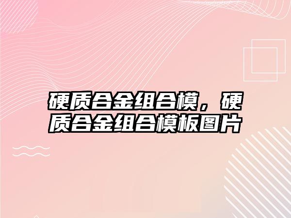 硬質合金組合模，硬質合金組合模板圖片